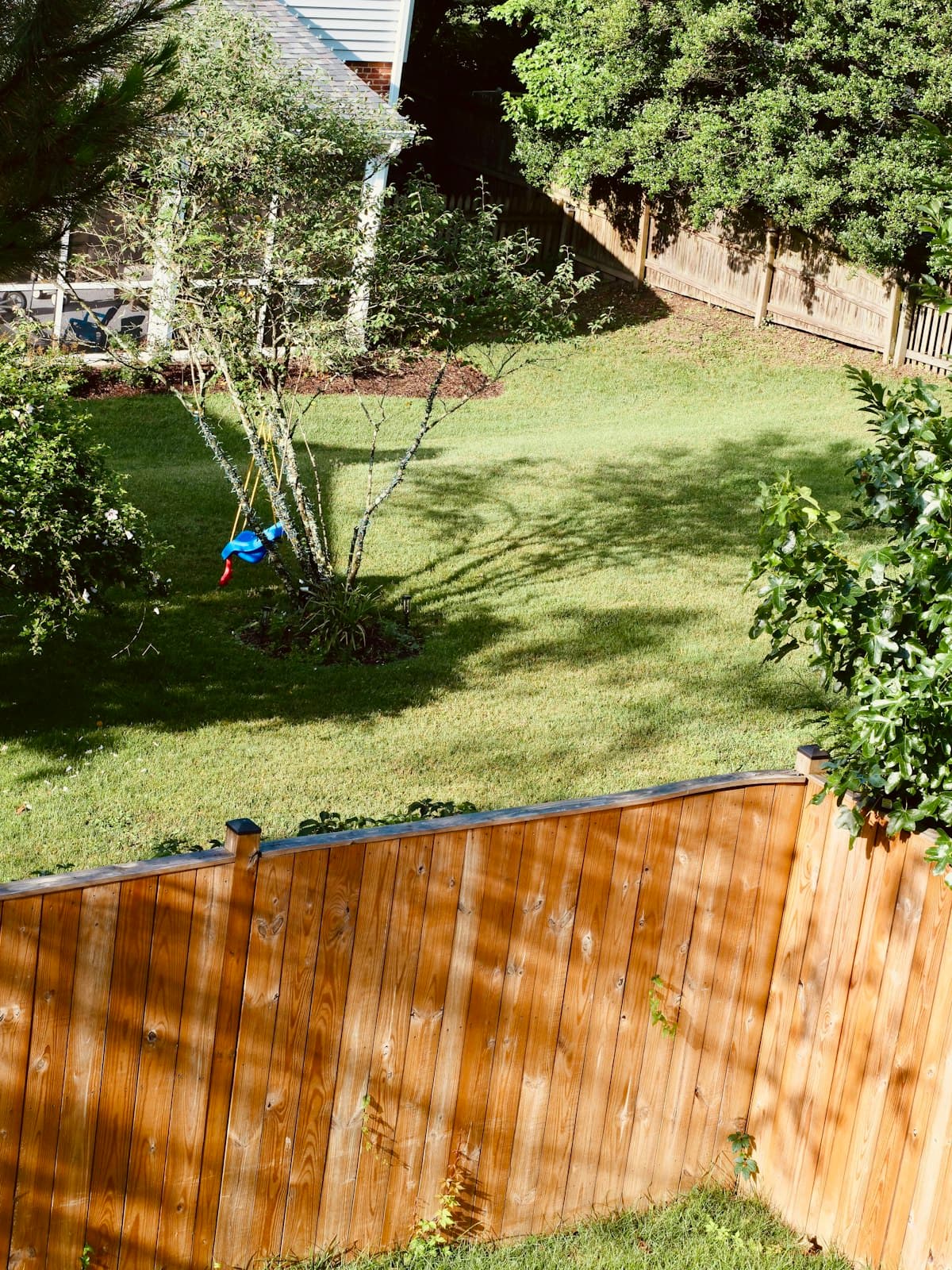 Rear Yard Boundary Fencing